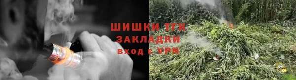 прущие грибы Горняк