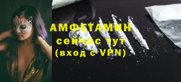 прущие грибы Горняк