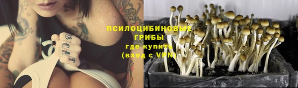 меф Горнозаводск
