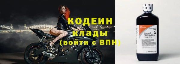 прущие грибы Горняк