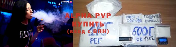прущие грибы Горняк