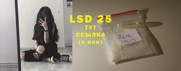 прущие грибы Горняк