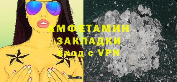 прущие грибы Горняк