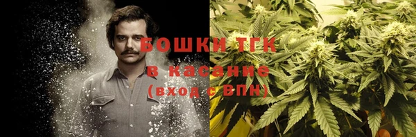 прущие грибы Горняк