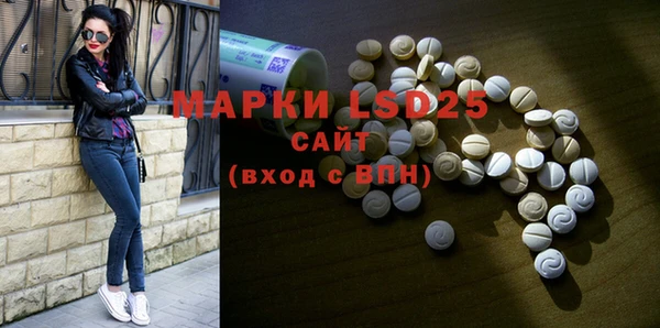 прущие грибы Горняк