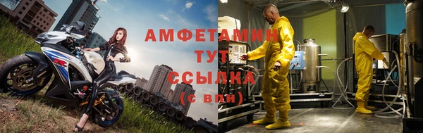 прущие грибы Горняк