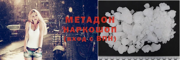 прущие грибы Горняк