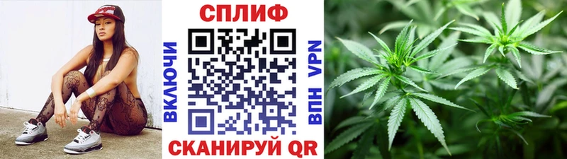 Купить  Полысаево  Марихуана сатива 